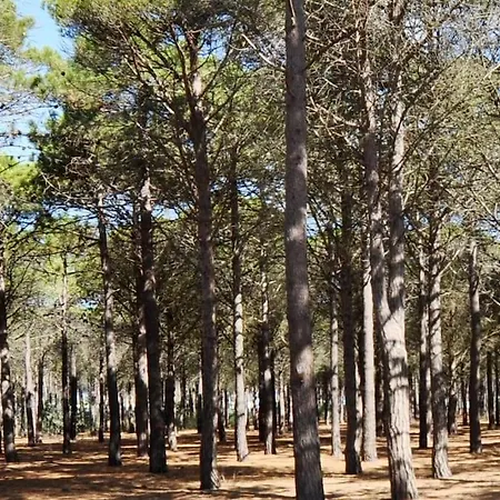 App. Terrasse Vue Partielle *